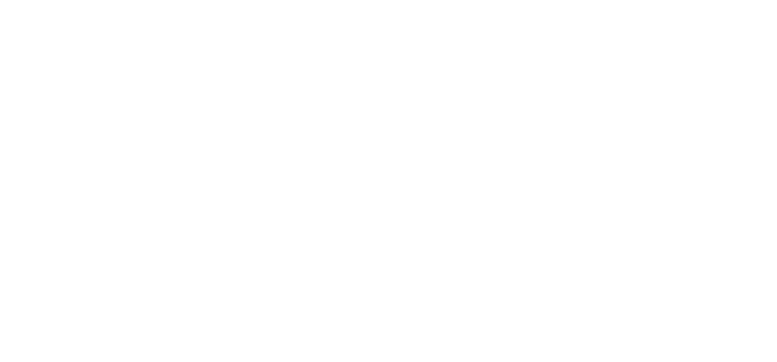 WEDDING CELEBRATION